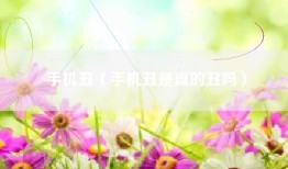 手机丑（手机丑是真的丑吗）