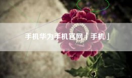 手机华为手机官网「手机」