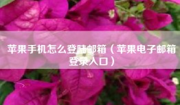 苹果手机怎么登陆邮箱（苹果电子邮箱登录入口）