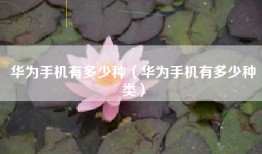 华为手机有多少种（华为手机有多少种类）