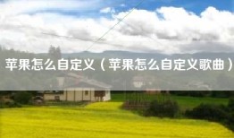苹果怎么自定义（苹果怎么自定义歌曲）