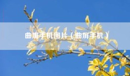 曲屏手机图片（曲屏手机）