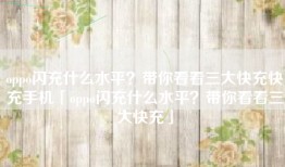 oppo闪充什么水平？带你看看三大快充快充手机「oppo闪充什么水平？带你看看三大快充」