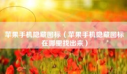苹果手机隐藏图标（苹果手机隐藏图标在哪里找出来）