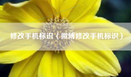 修改手机标识（微博修改手机标识）