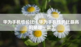 华为手机性价比（华为手机性价比最高的是哪一款）