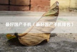 最好国产手机（最好国产手机排名）