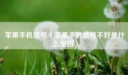 苹果手机信号（苹果手机信号不好是什么原因）