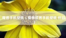 魔兽手机壁纸（魔兽世界手机壁纸 怀旧）