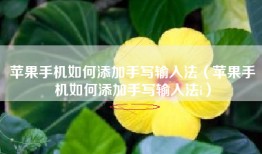 苹果手机如何添加手写输入法（苹果手机如何添加手写输入法i）