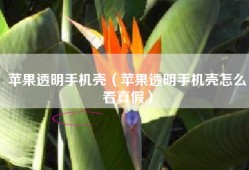 苹果透明手机壳（苹果透明手机壳怎么看真假）