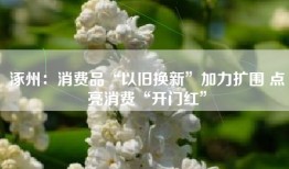 涿州：消费品“以旧换新”加力扩围 点亮消费“开门红”