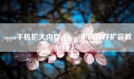 oppo手机扩大内存（oppo手机内存扩容教程）