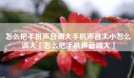 怎么把手机声音调大手机声音太小怎么调大「怎么把手机声音调大」