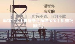 海绵宝宝手机壁纸（海绵宝宝手机壁纸图片）