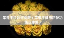 苹果手机如何测距（苹果手机测距仪功能在哪里）