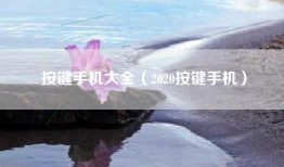 按键手机大全（2020按键手机）