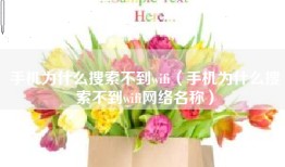 手机为什么搜索不到wifi（手机为什么搜索不到wifi网络名称）