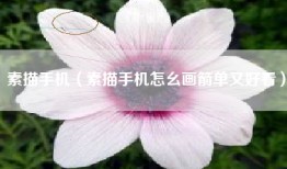 素描手机（素描手机怎幺画箭单又好看）