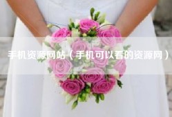 手机资源网站（手机可以看的资源网）