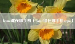 home键在哪手机（home键在哪手机oppo）