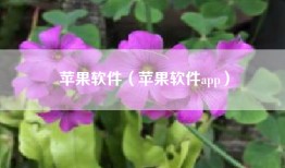 苹果软件（苹果软件app）