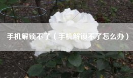 手机解锁不了（手机解锁不了怎么办）
