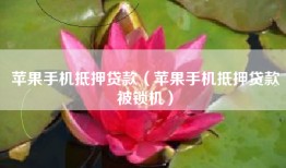 苹果手机抵押贷款（苹果手机抵押贷款被锁机）