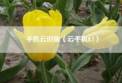 手机云旧版（云手机8.1）