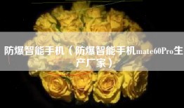 防爆智能手机（防爆智能手机mate60Pro生产厂家）