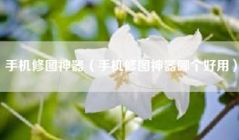 手机修图神器（手机修图神器哪个好用）