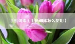 手机词库（手机词库怎么使用）