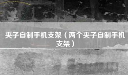 夹子自制手机支架（两个夹子自制手机支架）