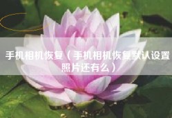 手机相机恢复（手机相机恢复默认设置照片还有么）
