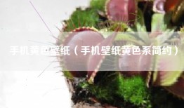 手机黄色壁纸（手机壁纸黄色系简约）