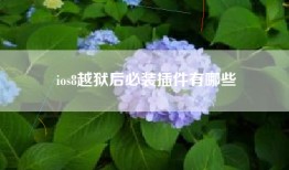 ios8越狱后必装插件有哪些