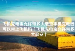 飞机充电宝允许带多大毫安手机充电器可以带上飞机吗「飞机充电宝允许带多大毫安」