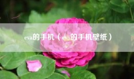 eva的手机（eva的手机壁纸）