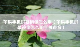 苹果手机屏幕镜像怎么用（苹果手机屏幕镜像怎么用手机声音）