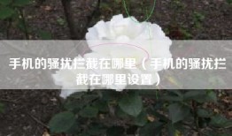 手机的骚扰拦截在哪里（手机的骚扰拦截在哪里设置）