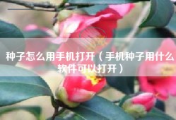 种子怎么用手机打开（手机种子用什么软件可以打开）