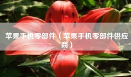 苹果手机零部件（苹果手机零部件供应商）