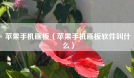 苹果手机画板（苹果手机画板软件叫什么）