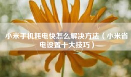 小米手机耗电快怎么解决方法（小米省电设置十大技巧）