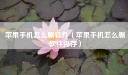 苹果手机怎么删软件（苹果手机怎么删软件内存）