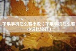 苹果手机怎么看小说（苹果手机怎么看小说比较好）