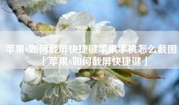 苹果6如何截屏快捷键苹果手机怎么截图「苹果6如何截屏快捷键」