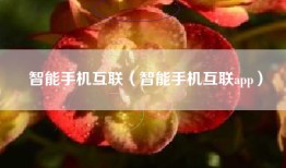 智能手机互联（智能手机互联app）