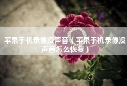 苹果手机录像没声音（苹果手机录像没声音怎么恢复）