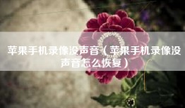 苹果手机录像没声音（苹果手机录像没声音怎么恢复）
